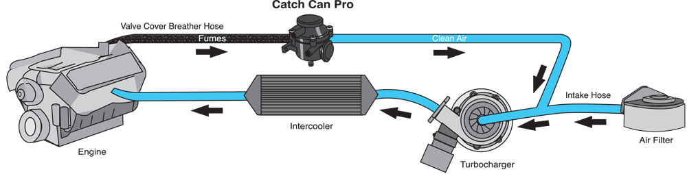 catch can diagram